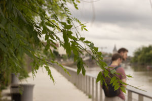 The river in Libourne