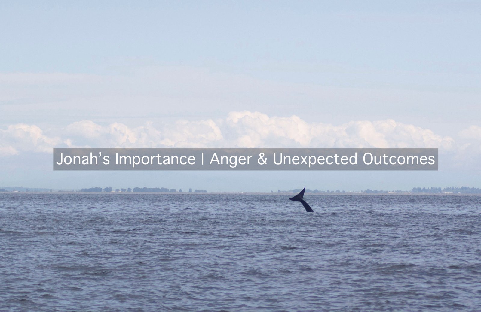 Jonah's Importance : anger and unexpected outcomes